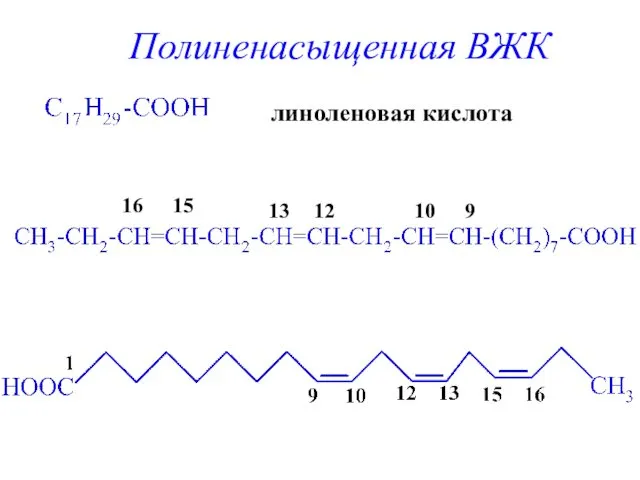 линоленовая кислота 9 10 12 13 15 16 Полиненасыщенная ВЖК