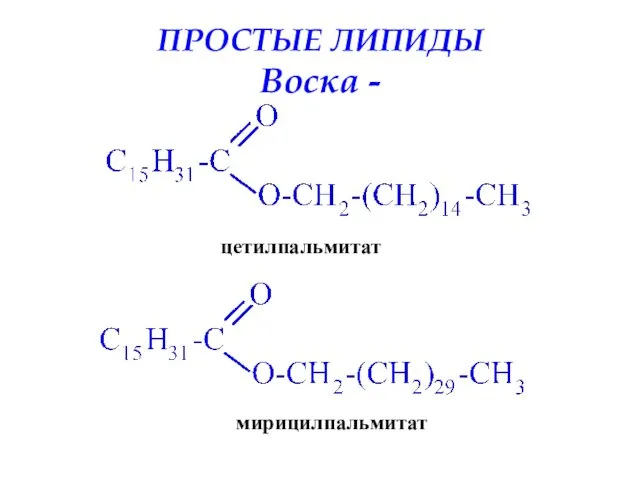 ПРОСТЫЕ ЛИПИДЫ Воска - цетилпальмитат мирицилпальмитат