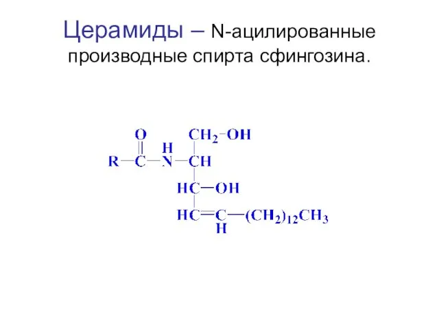 Церамиды – N-ацилированные производные спирта сфингозина.