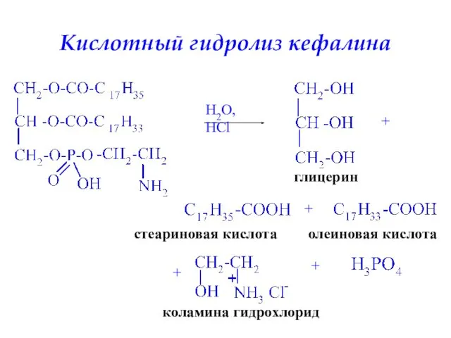 Кислотный гидролиз кефалина H2O, HCl глицерин + стеариновая кислота + олеиновая кислота + коламина гидрохлорид +
