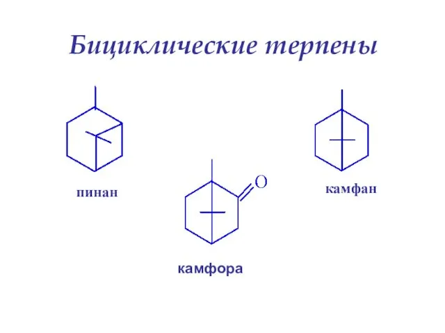 Бициклические терпены пинан камфан камфора