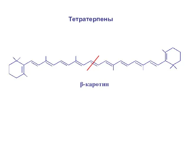 β-каротин Тетратерпены