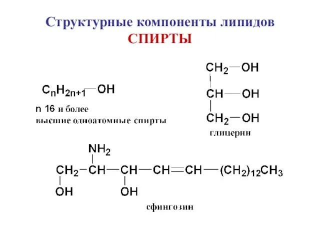 Структурные компоненты липидов СПИРТЫ