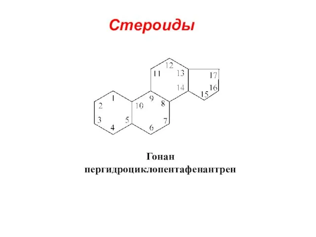 Стероиды Гонан пергидроциклопентафенантрен