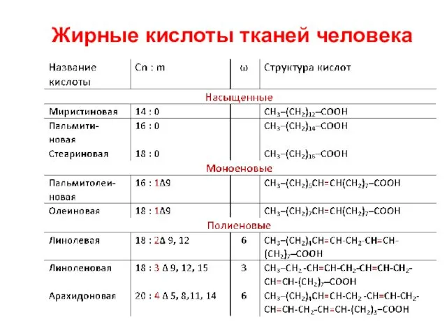 Жирные кислоты тканей человека