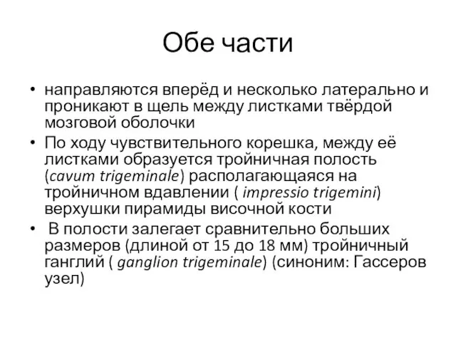 Обе части направляются вперёд и несколько латерально и проникают в