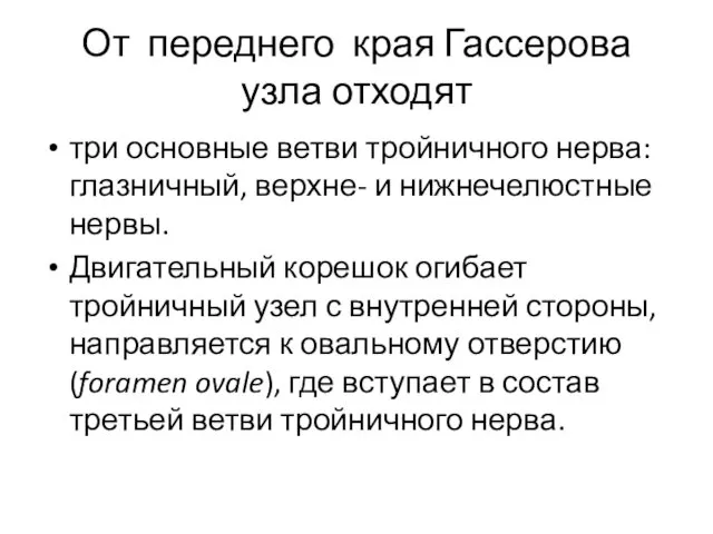 От переднего края Гассерова узла отходят три основные ветви тройничного