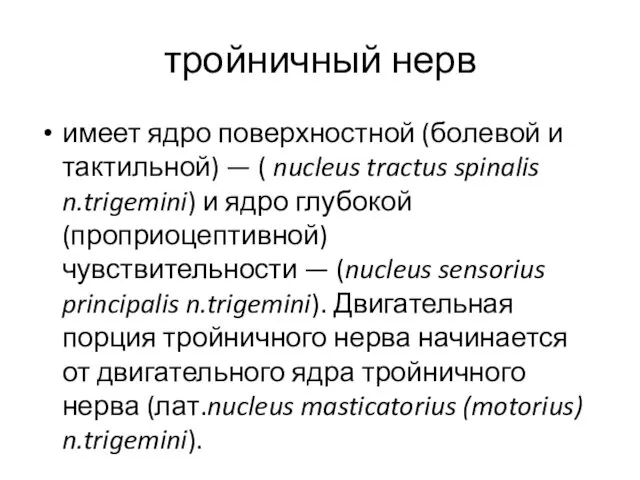 тройничный нерв имеет ядро поверхностной (болевой и тактильной) — (