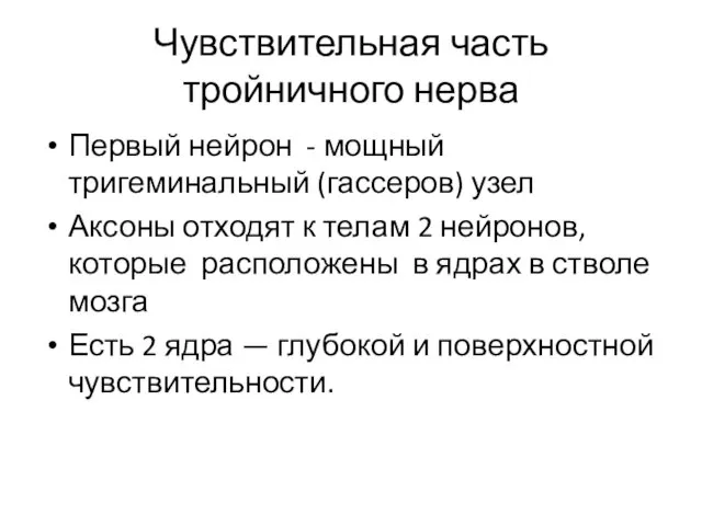 Чувствительная часть тройничного нерва Первый нейрон - мощный тригеминальный (гассеров)