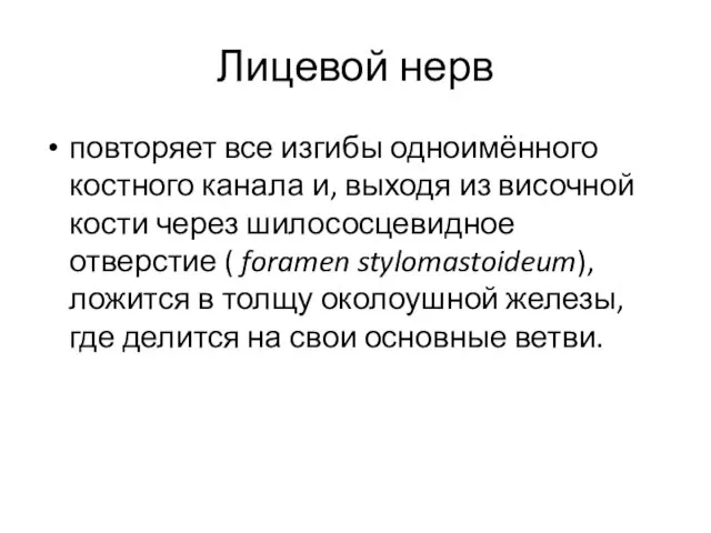 Лицевой нерв повторяет все изгибы одноимённого костного канала и, выходя