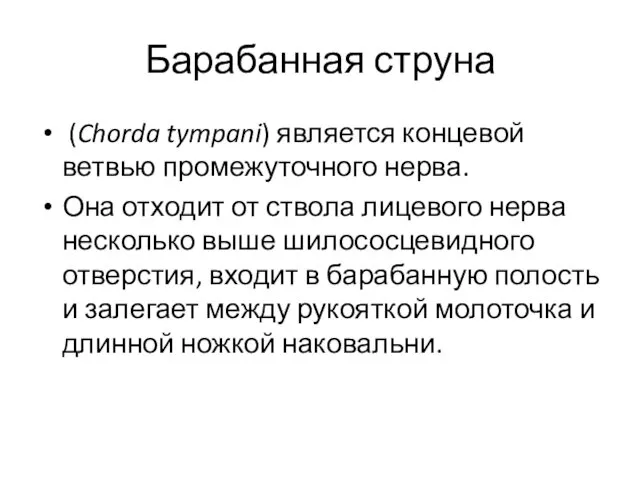 Барабанная струна (Chorda tympani) является концевой ветвью промежуточного нерва. Она