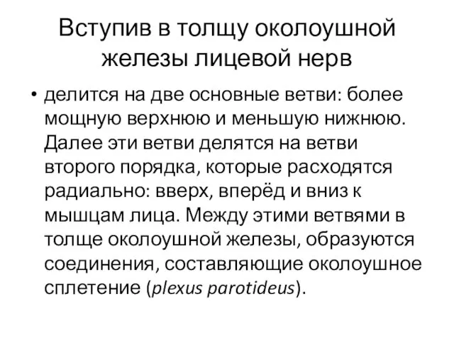 Вступив в толщу околоушной железы лицевой нерв делится на две