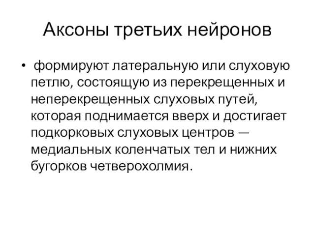 Аксоны третьих нейронов формируют латеральную или слуховую петлю, состоящую из