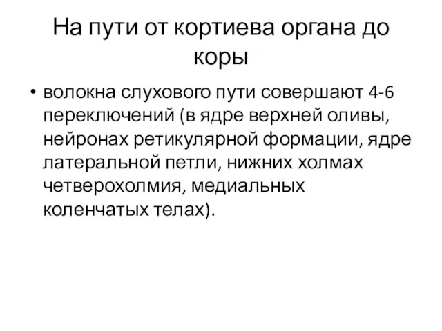 На пути от кортиева органа до коры волокна слухового пути