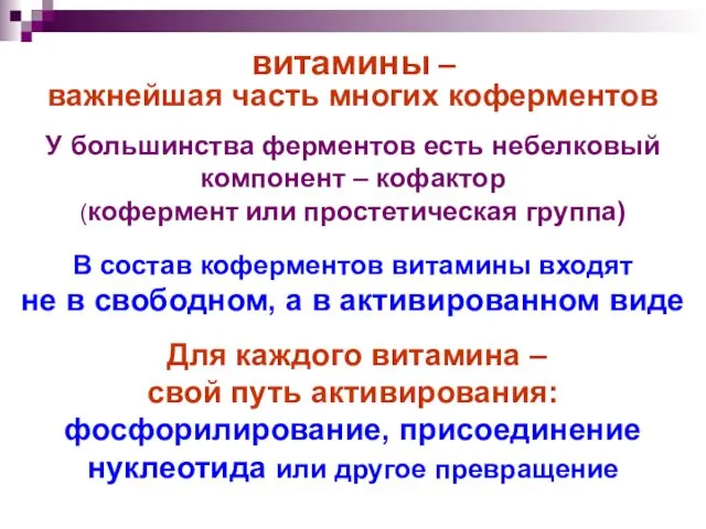 витамины – важнейшая часть многих коферментов У большинства ферментов есть