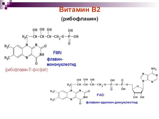 Витамин B2 (рибофлавин)