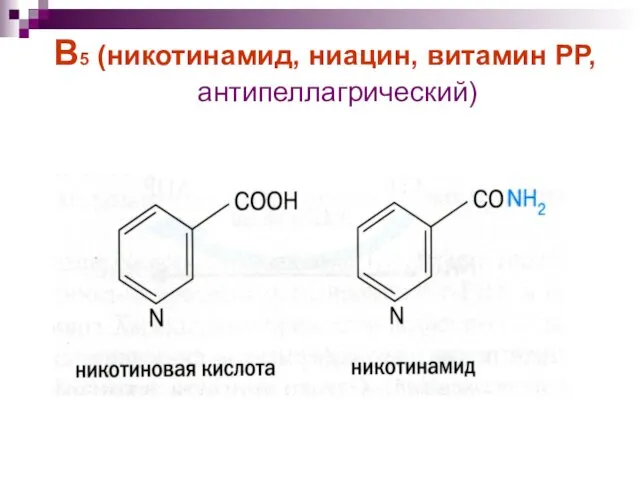 В5 (никотинамид, ниацин, витамин РР, антипеллагрический)