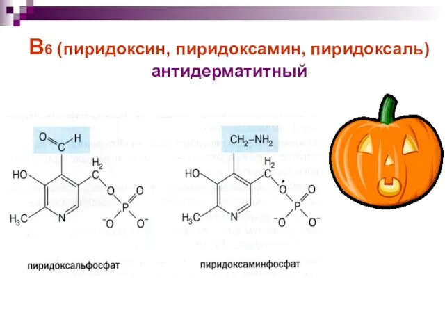 В6 (пиридоксин, пиридоксамин, пиридоксаль) антидерматитный