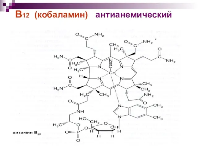 В12 (кобаламин) антианемический