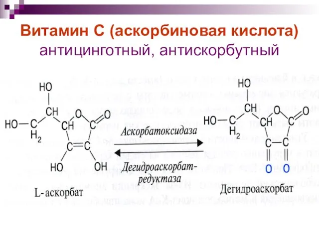 Витамин С (аскорбиновая кислота) антицинготный, антискорбутный