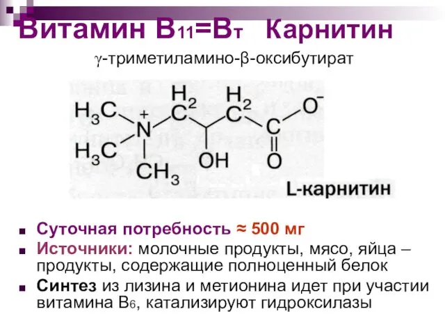 Витамин B11=Bт Карнитин Суточная потребность ≈ 500 мг Источники: молочные