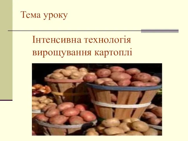 Тема уроку Інтенсивна технологія вирощування картоплі