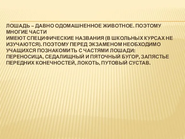 ЛОШАДЬ – ДАВНО ОДОМАШНЕННОЕ ЖИВОТНОЕ. ПОЭТОМУ МНОГИЕ ЧАСТИ ИМЕЮТ СПЕЦИФИЧЕСКИЕ