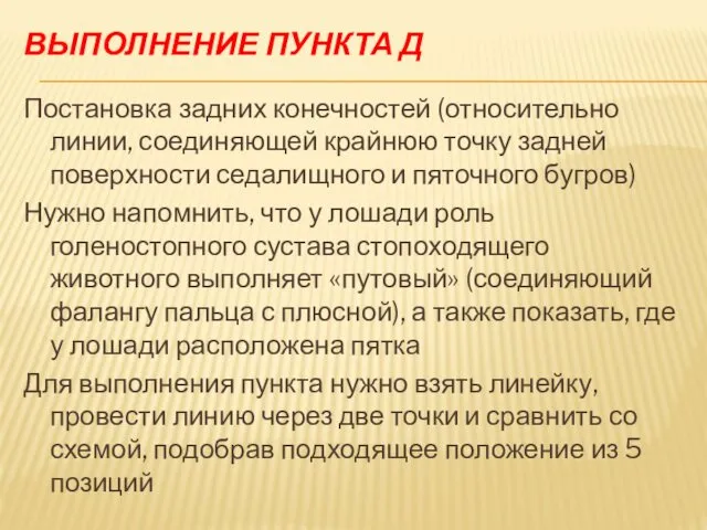 ВЫПОЛНЕНИЕ ПУНКТА Д Постановка задних конечностей (относительно линии, соединяющей крайнюю