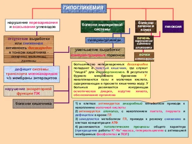 нарушение переваривания и всасывания углеводов нарушение экскреторной функции ПЖ отсутствие