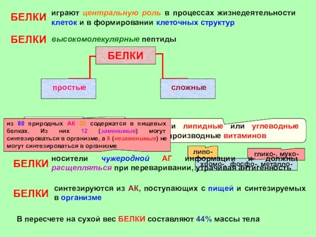 БЕЛКИ играют центральную роль в процессах жизнедеятельности клеток и в