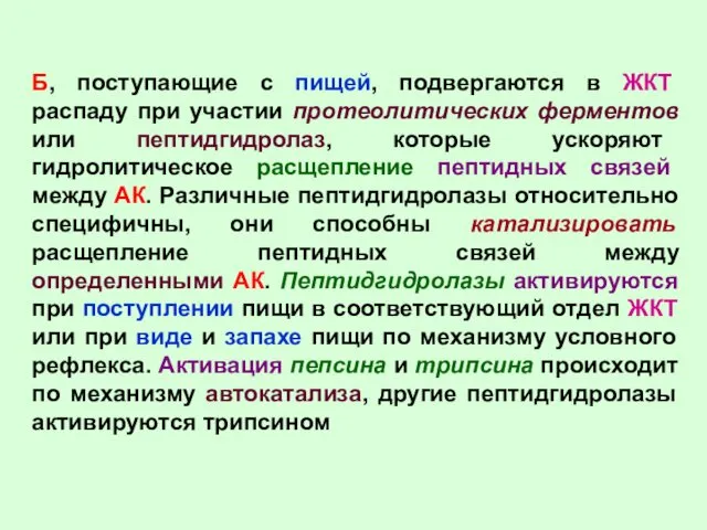 Б, поступающие с пищей, подвергаются в ЖКТ распаду при участии