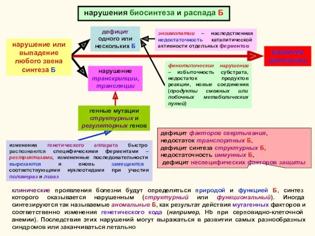 нарушения биосинтеза и распада Б изменения генетического аппарата быстро распознаются