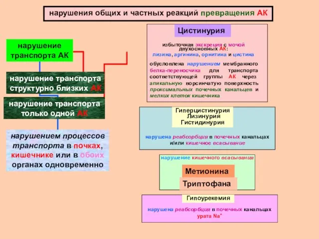 нарушения общих и частных реакций превращения АК нарушение транспорта структурно