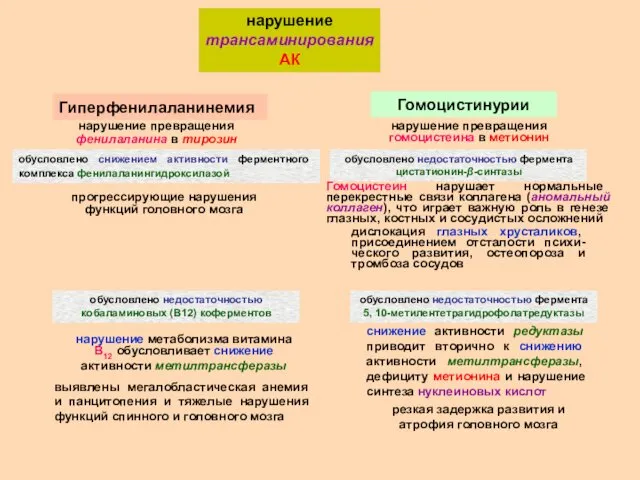 нарушение трансаминирования АК Гиперфенилаланинемия нарушение превращения фенилаланина в тирозин обусловлено