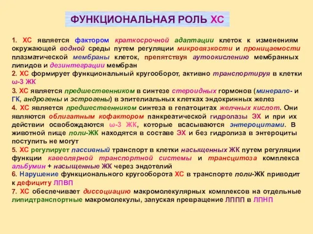 ФУНКЦИОНАЛЬНАЯ РОЛЬ ХС 1. ХС является фактором краткосрочной адаптации клеток