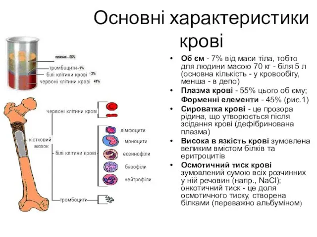 Основні характеристики крові Об єм - 7% від маси тіла,