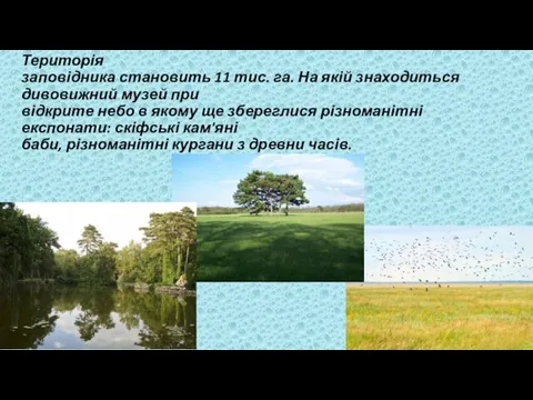 Територія заповідника становить 11 тис. га. На якій знаходиться дивовижний