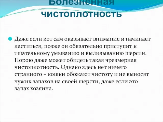 Болезненная чистоплотность Даже если кот сам оказывает внимание и начинает