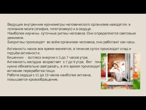 Ведущие внутренние хронометры человеческого организма находятся: в головном мозге (эпифиз,