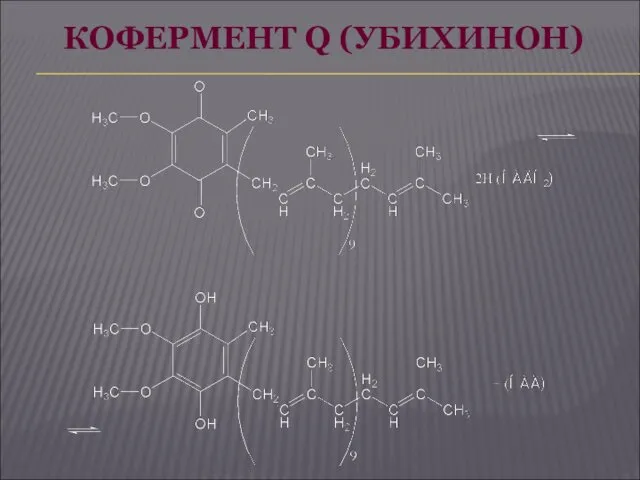 КОФЕРМЕНТ Q (УБИХИНОН)