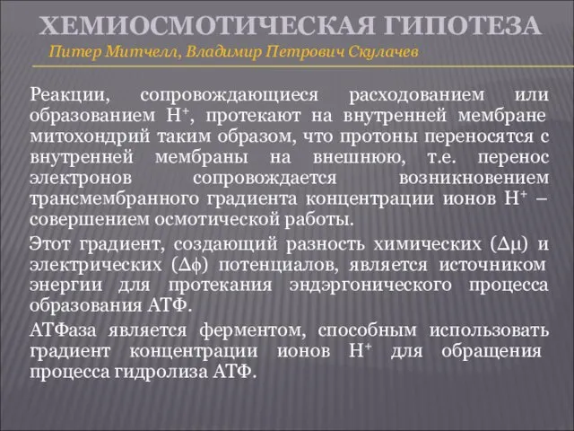 ХЕМИОСМОТИЧЕСКАЯ ГИПОТЕЗА Питер Митчелл, Владимир Петрович Скулачев Реакции, сопровождающиеся расходованием