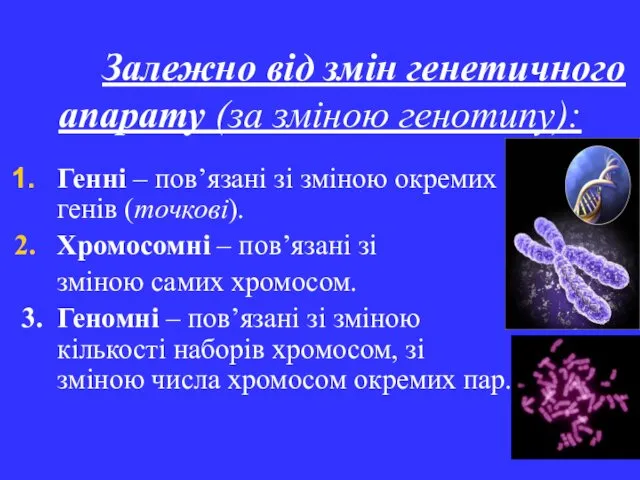 Залежно від змін генетичного апарату (за зміною генотипу): Генні – пов’язані зі зміною