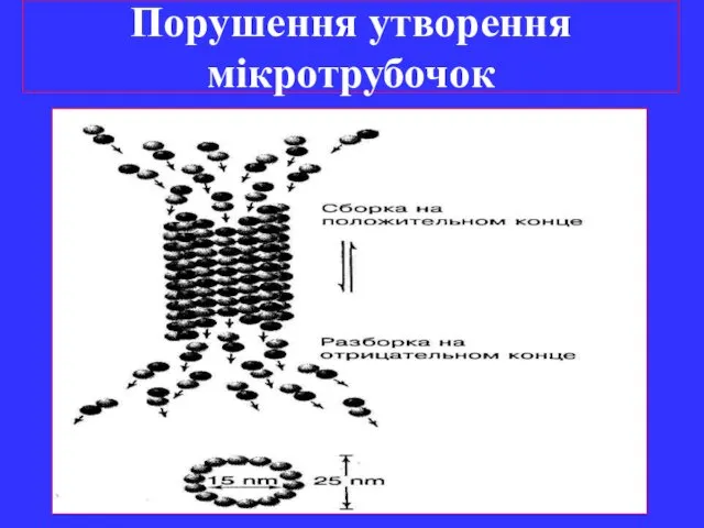 Порушення утворення мікротрубочок