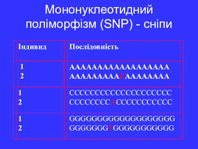 Мононуклеотидний поліморфізм (SNP) - сніпи