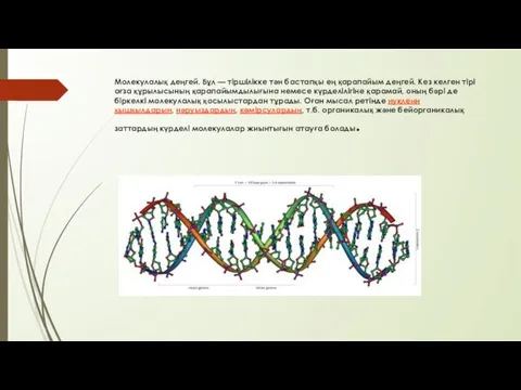 Молекулалық деңгей. Бұл — тіршілікке тән бастапқы ең қарапайым деңгей.