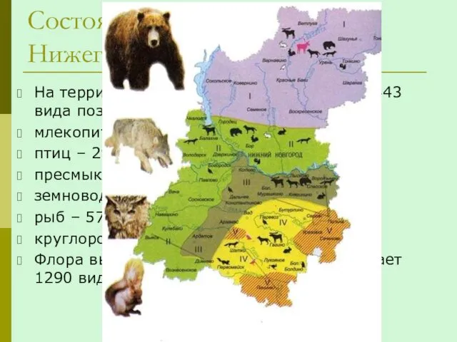 Состояние биоразнообразия в Нижегородской области На территории области зарегистрировано 443