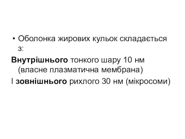 Оболонка жирових кульок складається з: Внутрішнього тонкого шару 10 нм