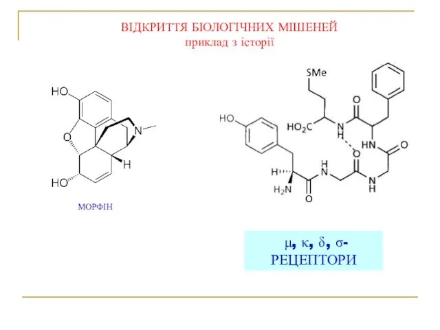 ВІДКРИТТЯ БІОЛОГІЧНИХ МІШЕНЕЙ приклад з історії МОРФІН ЕНДОГЕННІ ЛІГАНДИ? РЕЦЕПТОРИ? μ, κ, δ, σ-РЕЦЕПТОРИ