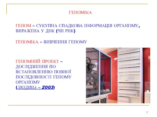 ГЕНОМІКА ГЕНОМ – СУКУПНА СПАДКОВА ІНФОРМАЦІЯ ОРГАНІЗМУ, ВИРАЖЕНА У ДНК