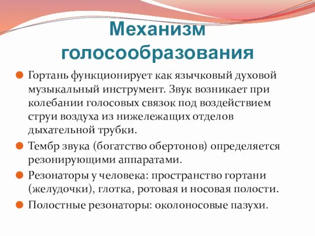 Механизм голосообразования Гортань функционирует как язычковый духовой музыкальный инструмент. Звук